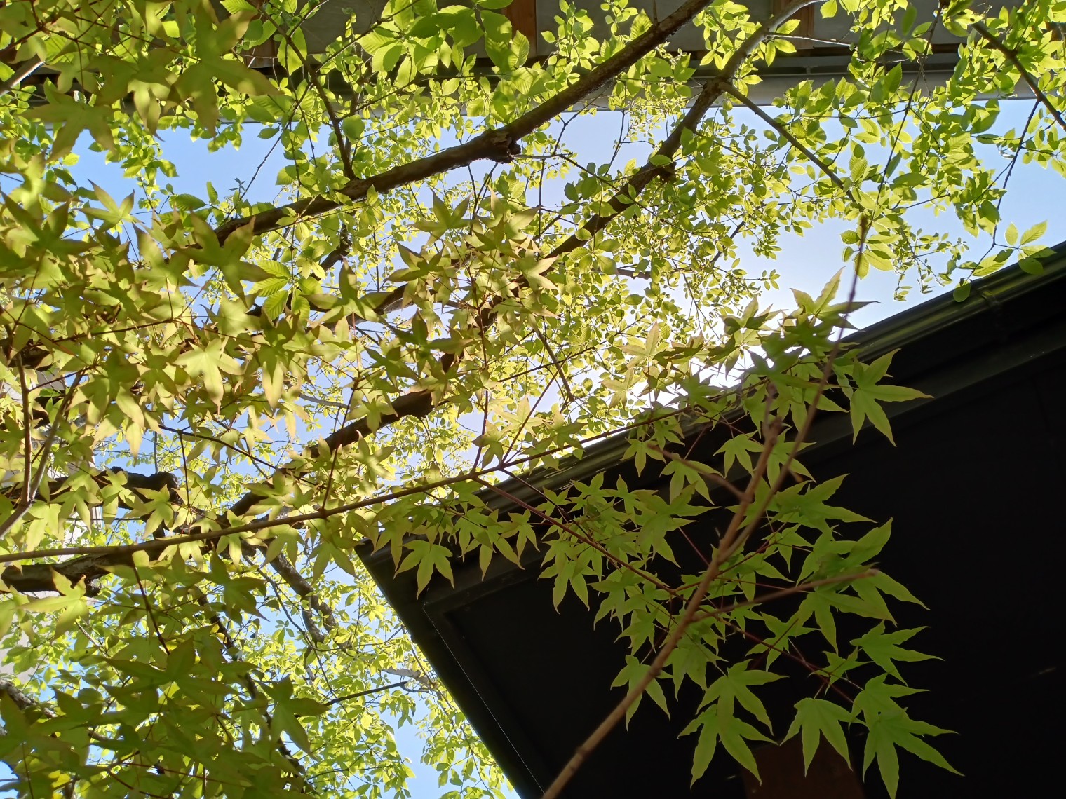 庭から見えてくるもの